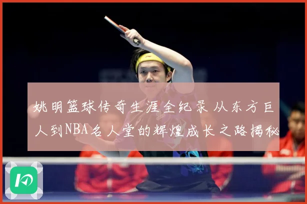姚明篮球传奇生涯全纪录 从东方巨人到NBA名人堂的辉煌成长之路揭秘