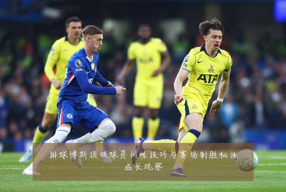 排球博斯顶级球员训练技巧与赛场制胜秘诀成长观察
